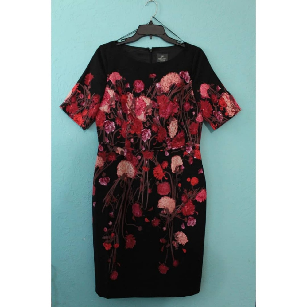 NWOT Adrianna Papell Black Red Pink Floral Dress